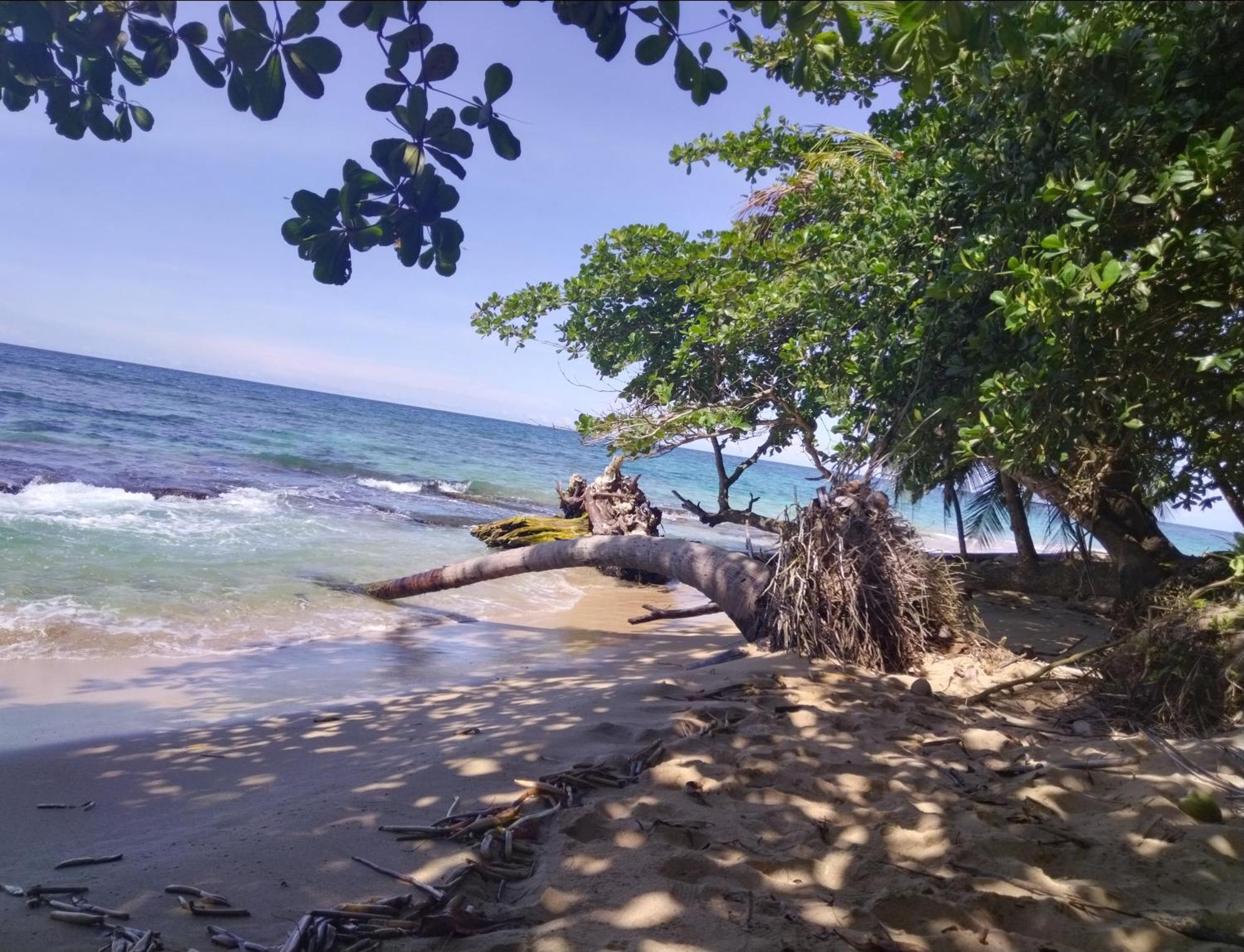 Serenity Houses Cahuita Eksteriør bilde