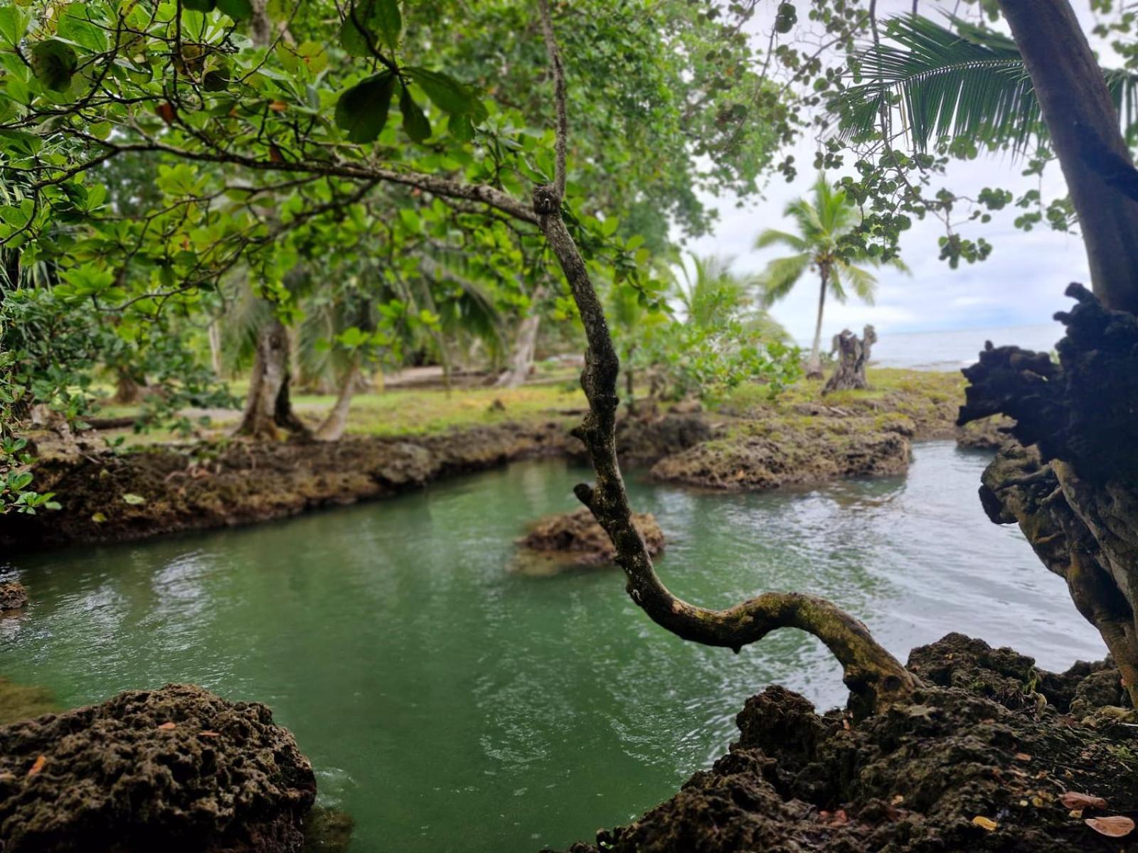 Serenity Houses Cahuita Eksteriør bilde